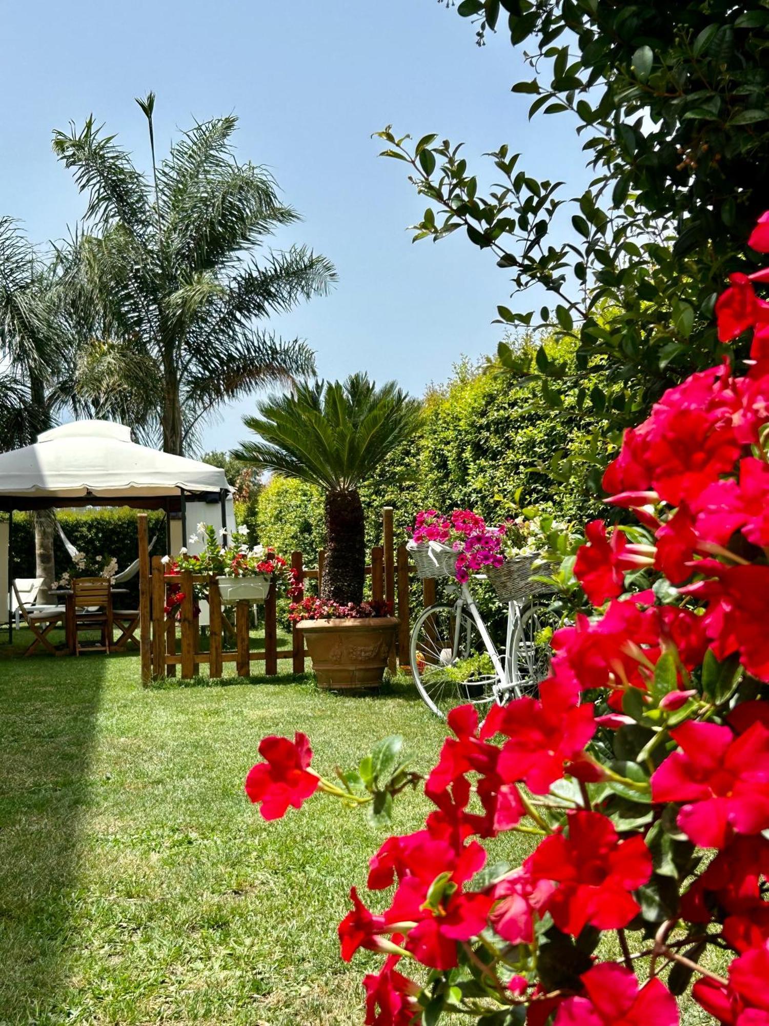 Alto Giardino Apartment Zambrone Exterior foto