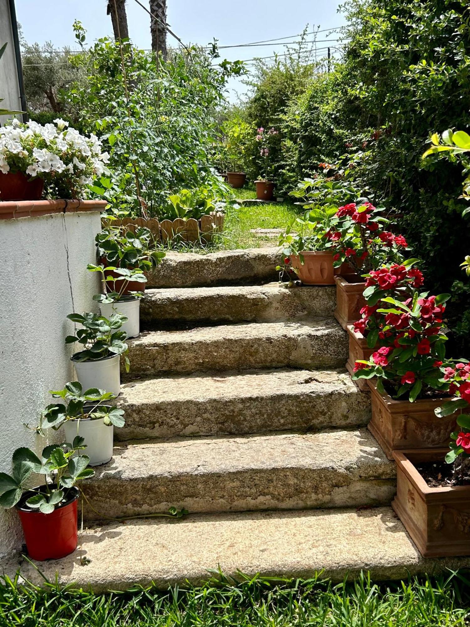 Alto Giardino Apartment Zambrone Exterior foto